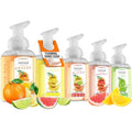 Foaming Hand Soap Pump Set - 5-Pack Citrus Fragrance with Aloe Vera & Essential Oils - 8.7 Fl Oz Each - Lemon, Orange, Lime, Grapefruit Variations