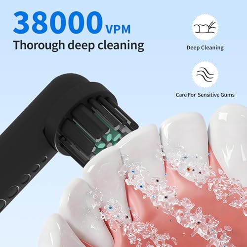 Amrmcy Black Replacement Heads for Quip 360 Oscillating Electric Toothbrush - Pack of 4