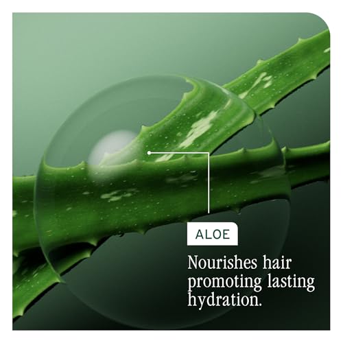 Biolage Hydra Source Leave-In Hair Cream 6.8 Fl Oz for Dry Hair - Moisturizing