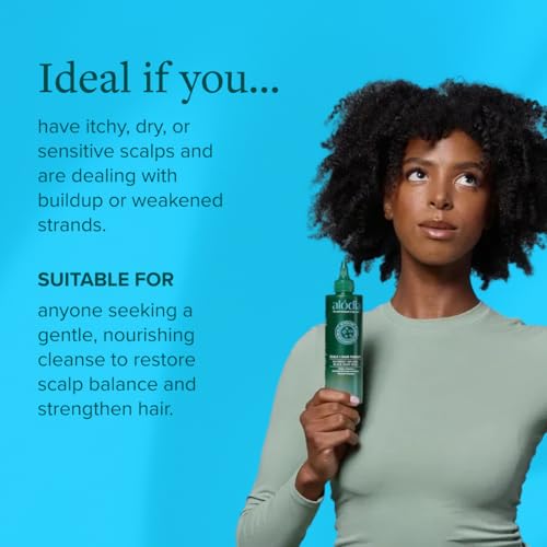 Organic Black Soap Hair Shampoo 8 Fl Oz Pack of 2 - Clarifying & Moisturizing