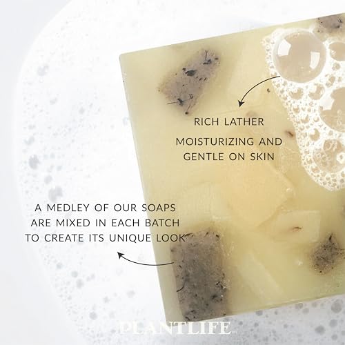 Ambrosia Natural Vegan Bar Soap 6-Pack - Handcrafted 4 oz