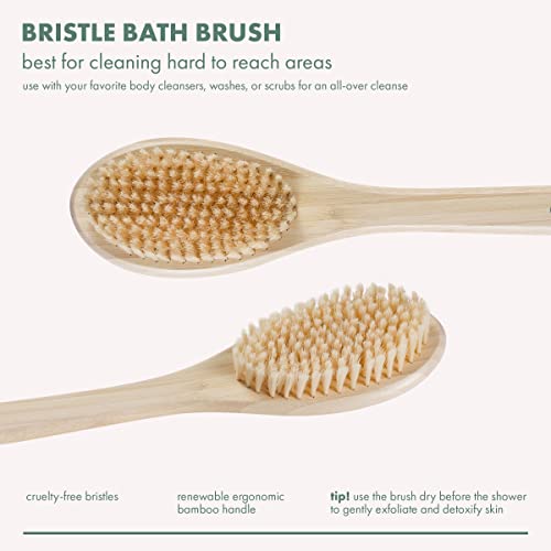 EcoTools Bristle Bath Brush, Shower Body Brush with Gentle, Stiff Bristles, Long Bamboo Handle, Gently Exfoliating for Back & Body, Stimulates Blood Circulation, Eco-Friendly, 1 Count (Pack of 2)