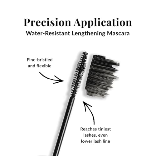 DHC Mascara Perfect Pro Double Protection 0.17 oz. Net wt. and Blotting Paper 2 pack (100 sheets x 2)