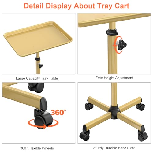 Salon Tray Cart Tattoo Tray Rolling Cart, Service Rolling Tray, Height Adjustable Styling Tray, Storage Tray Trolley for Beauty Salon Clinic Spa (Champagne Gold)