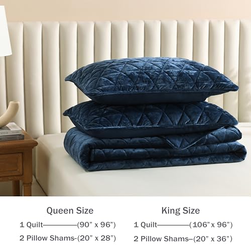 Homzard Navy Blue Velvet King Comforter Set 3pcs, All-Season Luxury Bedding