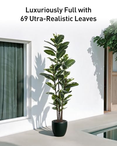 FLOWORLD 6ft Artificial Rubber Tree Plant Faux Ficus Tree with Pot - Large Indoor House Decor