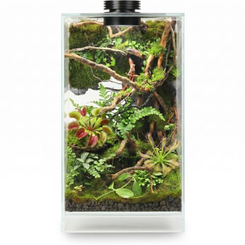 Desktop Glass Plant Terrarium with Adjustable Grow Light for Succulents & Moss