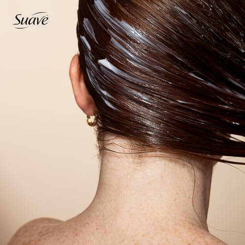 One N' Only Permanent Hair Color - Permanent Hair Dye Made with Argan Oil - Delivers Rich, Accurate Tones with Gray Coverage - Improves Moisture & Elasticity - 3NN Rich Natural Dark Brown (3 oz)