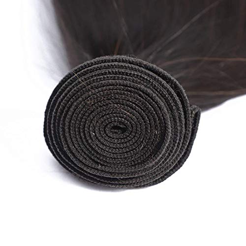 28 Inch Straight Human Hair Bundle - Brazilian Virgin Remy Hair, 100g, Natural Black, Angie Queen