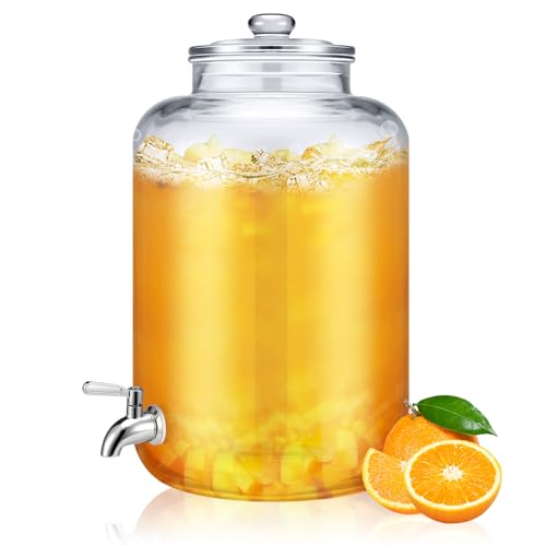 5 Gallon Glass Beverage Dispenser with Stainless Steel Spigot and Lid