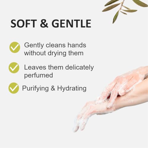 Fruit & Passion Cucina Coriander & Olive Mini Hand Soap Refill (250ml) and Nourishing Hand Cream (50ml) Holiday Gift Set Bundle
