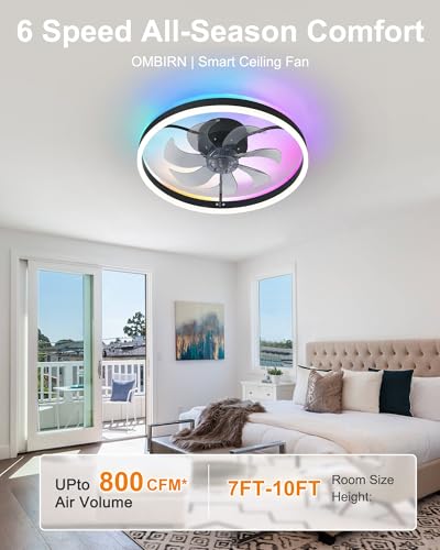 Black 20 Inch RGB Ceiling Fan with Light - Voice Control & Music Sync