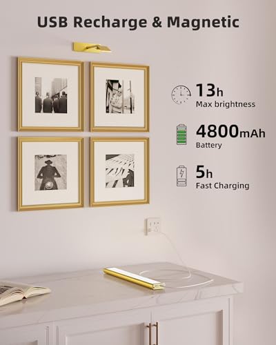 EZVALO Gold 16'' Rechargeable Wall Picture Lights 4-Pack - Dimmable Art Lighting