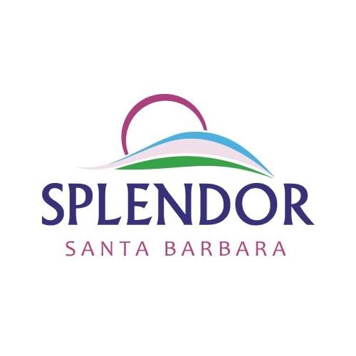 Splendor Black Activated Charcoal Soap Bars - Unscented Natural Cold-Process Soap - Odor Neutralizer, Handmade & Vegan - Gentle Skin Cleanser for Face, Body, and Hands - Deep Cleanse