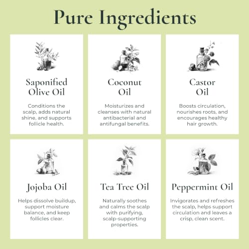 J.R.LIGGETT'S All-Natural Shampoo Bar 3-Pack - Tea Tree & Hemp, Jojoba & Peppermint, Coconut & Argan Oil