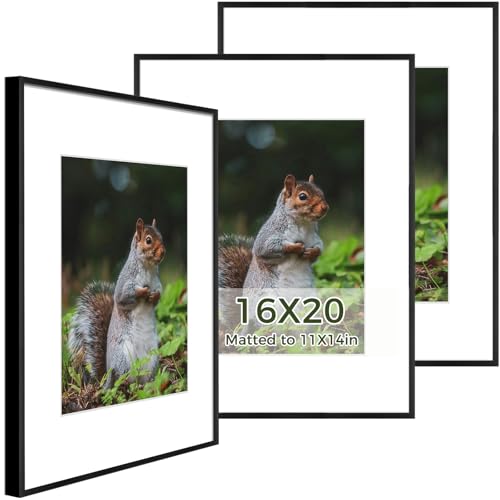 Real Glass Black Aluminum 16x20 Frame Set - Pack of 3 with Mat