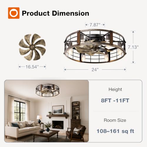 addlon 24-Inch Caged Ceiling Fan with Lights and Remote - Black Brushed Gold Variation