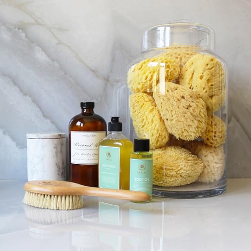 Lymphatic Drainage Dry Body Brush with Natural Bristles & FSC Beechwood