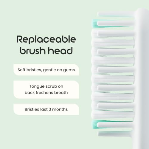Electric Toothbrush for Adults with Extra Brush Head – Lavender
