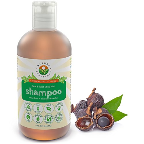 Sensitive Scalp Unscented Natural Shampoo - Organic, Sulfate-Free, 9oz - Hypoallergenic & Dandruff Relief