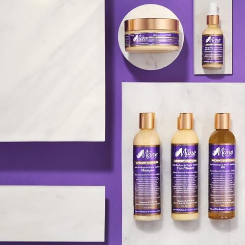 The Mane Choice Ancient Egyptian Anti-Breakage & Repair Antidote Conditioner for Coily, Wavy & Curly Hair, Hydrates & Strengthens Your Hair, Nourishes Dry, Brittle Hair, 8 Oz