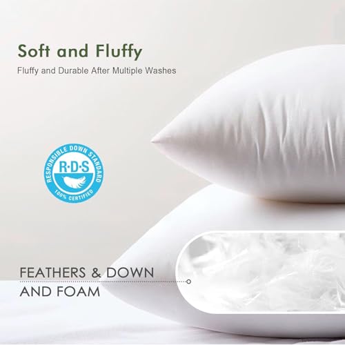 Euro Pillow Inserts 28x28 Inches Pack of 2 - White Down & Feather Fill