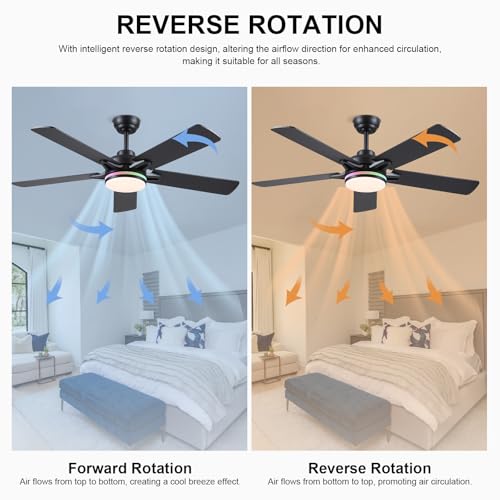 52 Inch Ceiling Fan with RGB Lights - Modern Black Indoor Outdoor Fan with Remote & App Control