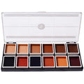 Narrative Cosmetics 12 Color Dark Flesh Tone Alcohol Activated Makeup Palette for Special Effects - Waterproof Dark Flesh Tone Makeup for Professional Makeup Artists