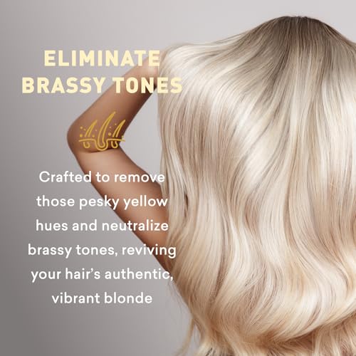 Just Nutritive Blonde Shampoo for Natural & Color-Treated Hair – Neutralizes Brassiness, Sulfate-Free 8 oz