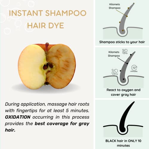 Black Hair Dye Shampoo 400ml Pack 2 - Instant Grey Coverage, Ammonia-Free, Home Color