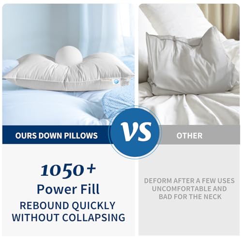 AiAngu Canadian Luxury Goose Down Pillow King Size 1050 Fill Power White