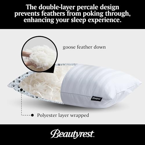 Beautyrest Queen Feather & Down Pillow Set - 2 Pack, Hypoallergenic, Cotton Cover