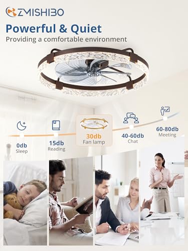 ZMISHIBO 24 Inch Ceiling Fan with Lights, Remote & App Control, Brown