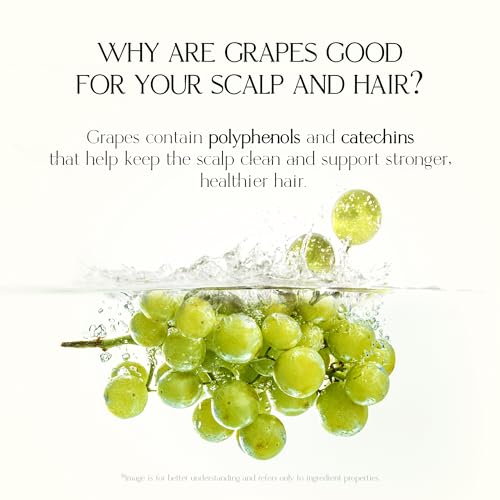 Podoclos Rebalancing Scalp Shampoo - Cooling & Refreshing Hair Care for Sensitive & Oily Scalps, 16.9 fl oz