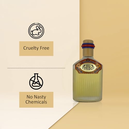 Lomani El Paso Men’s Eau de Toilette Spray 3.3 Ounces