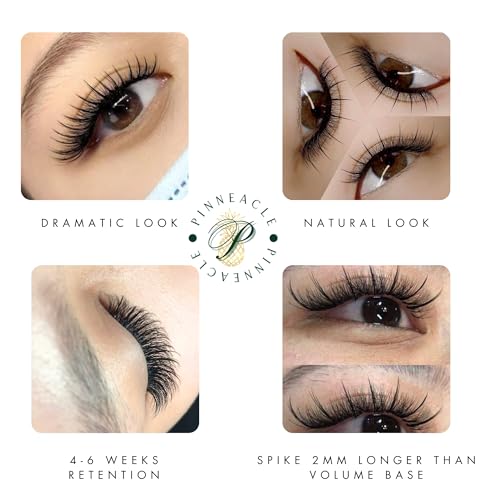 Premade Eyelash Fans Box - Brown C Curl 9-12mm | 500 Count Lash Extensions