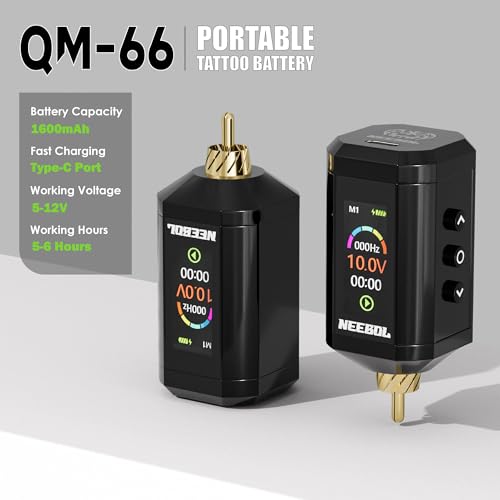 Wireless Tattoo Kit with 2 Batteries - Complete Professional & Beginner Set