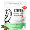 Canary Nano Hydroxyapatite Toothpaste Tablets Wintergreen 240 Count - Fluoride-Free Natural Oral Care for Travel