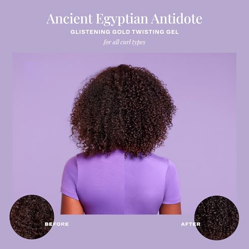 The Mane Choice Ancient Egyptian Anti-Breakage & Repair 24 Karat Gold Twisting Hair Gel, Definition & Shine Braid Gel for Dry, Damaged, Color or Chemically-Treated Hair, Fights Split Ends, 12 Oz