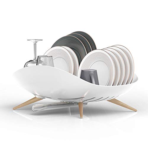 Carrotez Wide Self-Draining Dish Drying Rack - 18.7 x 12.4 Inches, White