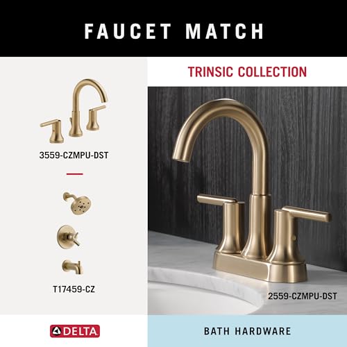 Delta 24 Inch Double Towel Bar - Champagne Bronze Finish