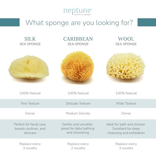 Neptune Caribbean Sea Sponge, Hand Cut, Large, Approx. 6-7 inches (Pack of 2)