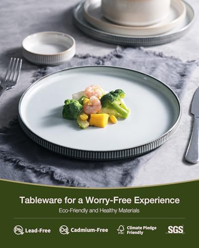 Famiware Star Stoneware Dinnerware Set for 4 - Reactive Glaze Plates & Bowls, Cappuccino & Smoky Blue, 12 Pieces