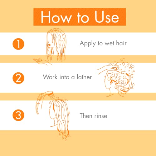 Klorane Nourishing Mango Butter Shampoo Set 3.3 Fl Oz x2 | Dry Hair Repair