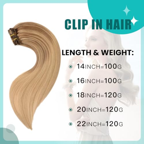 SURNEL 16 Inch Clip-In Hair Extensions Balayage Golden Brown to Honey Blonde 6pcs 100g