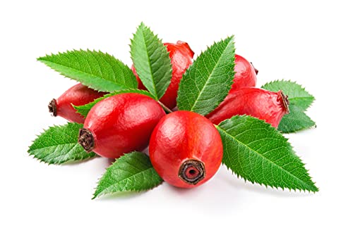 Rosehip Oil 8 oz - Organic Cold-Pressed Unrefined Vegan Skin & Hair Treatment