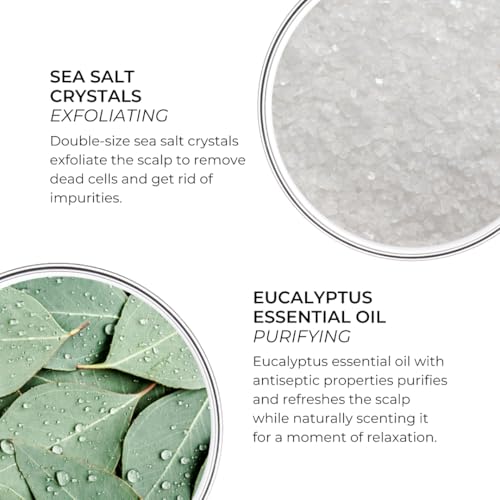 Purifying Scalp Scrub with Sea Salt & Eucalyptus - Deep Cleanse for Oily Scalp - 7.05 oz