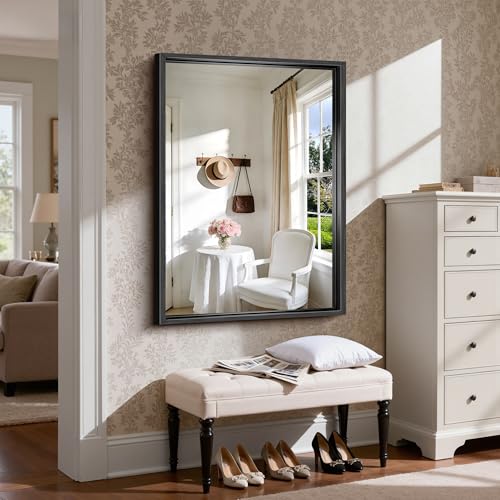 CIRCUMI 30x42 Inch Brushed Black Chunky Rectangular Bathroom Mirror with Frame