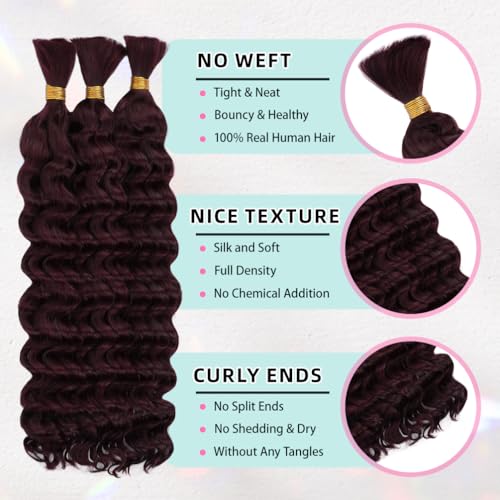 Burgundy Deep Wave Human Hair Braiding Bundles 14 Inch No Weft 50g - Boho Style