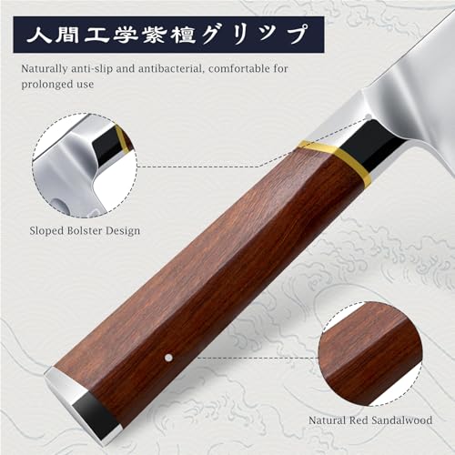 HOSHANHO 12" Brisket Slicing Knife - Butcher Breaking Knife for Meat & BBQ (11.9" variant)